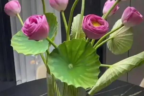 荷花鲜切花的养护方法，平时放在光线明亮的环境中