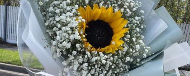 向日葵加满天星的花语，寓意积极向上、健康平安等