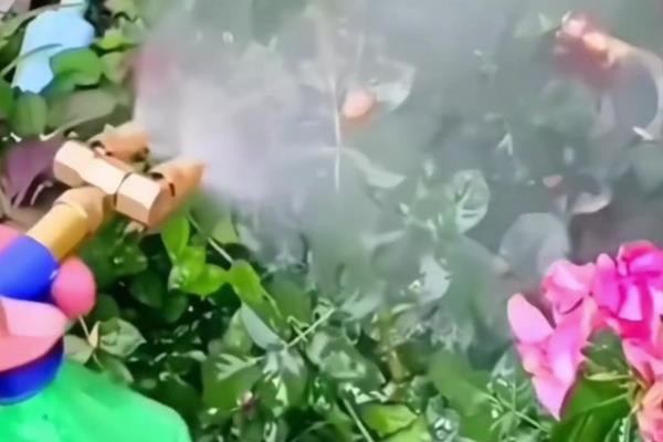 hb一101活力素的使用方法,可直接埋入土中