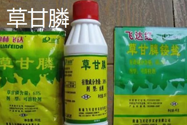 除草剂为什么发生药害，可能是药剂质量差、误用或使用不当等因素所致