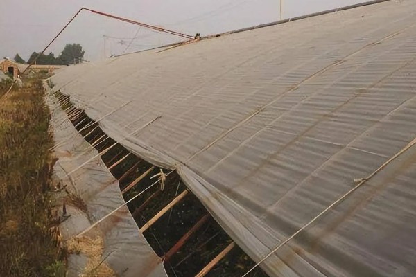 如何降低棚内湿度抑制病害，可全棚覆盖地膜