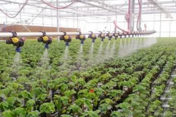 如何降低棚内湿度抑制病害，可全棚覆盖地膜