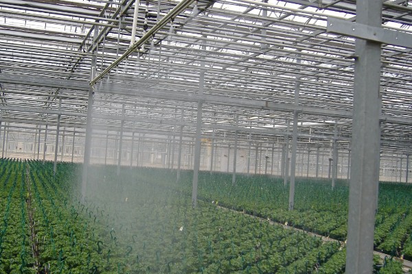 如何降低棚内湿度抑制病害，可全棚覆盖地膜