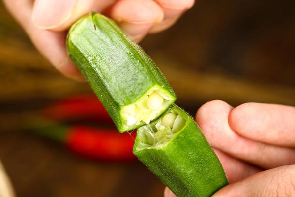 黄秋葵怎么种植，幼苗出土后及时中耕除草