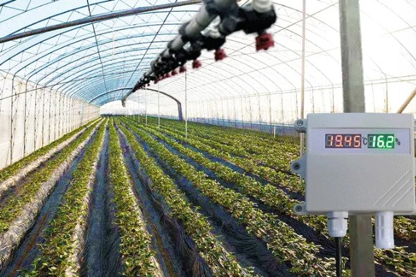 如何降低棚内湿度抑制病害，可全棚覆盖地膜