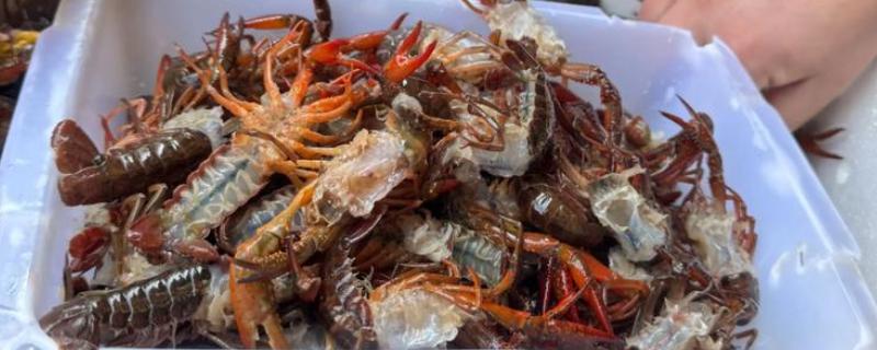 小龙虾要去虾线吗，要去虾线