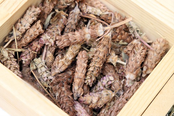 夏枯草的价格，每个地区的价格不同