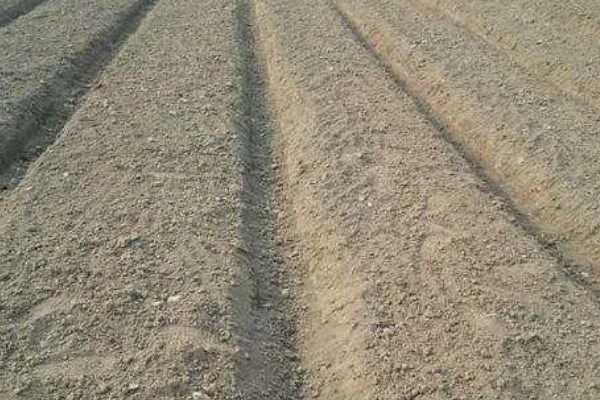 夏枯草的价格，每个地区的价格不同