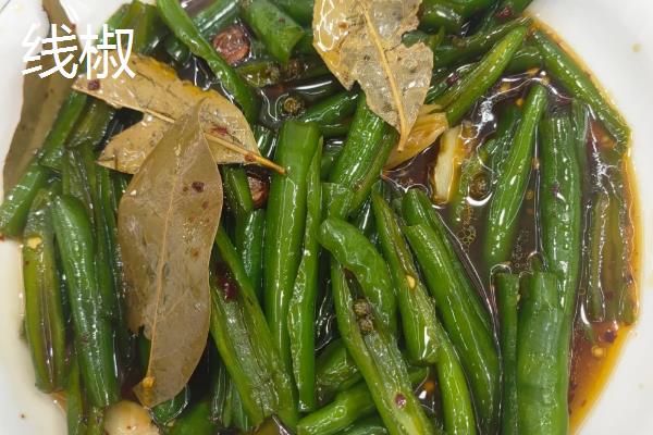 线椒的产地，主要产自西南、华中和西北地区