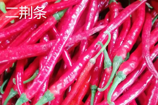 线椒的产地，主要产自西南、华中和西北地区