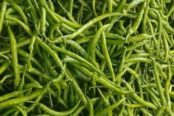 线椒的产地，主要产自西南、华中和西北地区