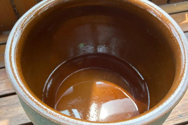 莲子种子如何种植,播种前用多菌灵溶液浸泡