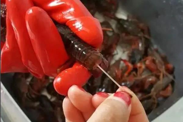 小龙虾要去虾线吗，要去虾线