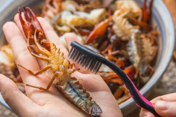 小龙虾要去虾线吗，要去虾线