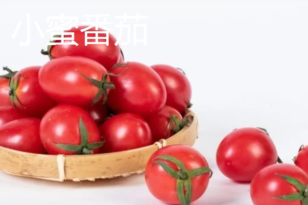 小西红柿的品种，有圣女番茄、玉女番茄等