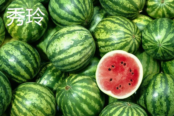 有什么小型西瓜品种,早春红玉、红小帅等品种体型小