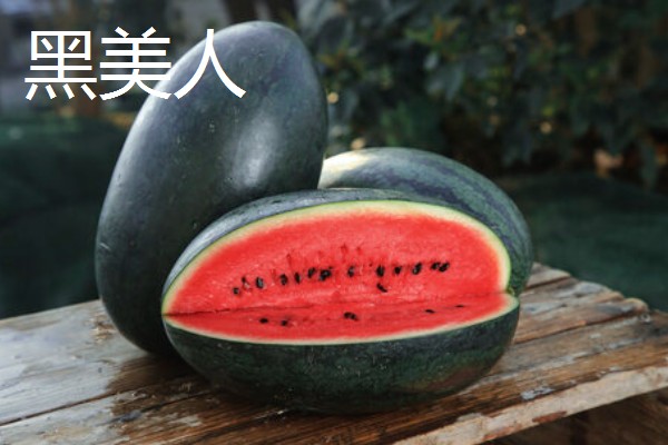 有什么小型西瓜品种,早春红玉、红小帅等品种体型小