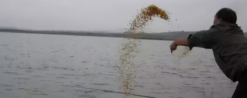 大面积水库要打窝吗，打窝聚鱼对垂钓还是有帮助的