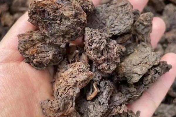 普洱茶有什么种类，分为饼茶、沱茶、砖茶等类型