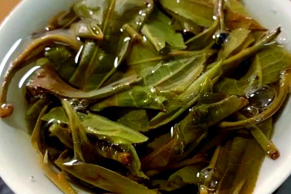 普洱茶有什么种类，分为饼茶、沱茶、砖茶等类型