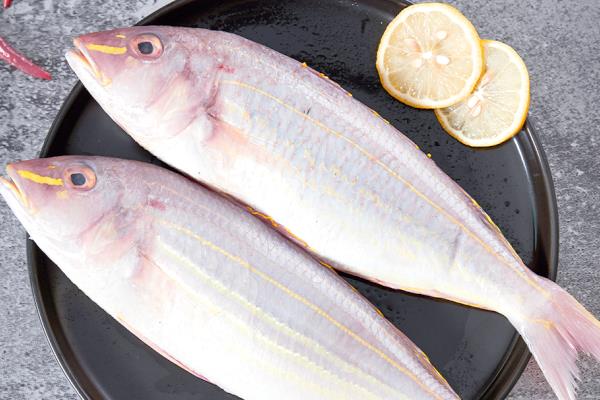 金线鱼是什么鱼,也被叫做红衫