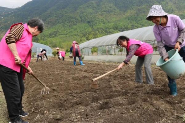 花生高产施肥方法，始花前亩施尿素5-7千克
