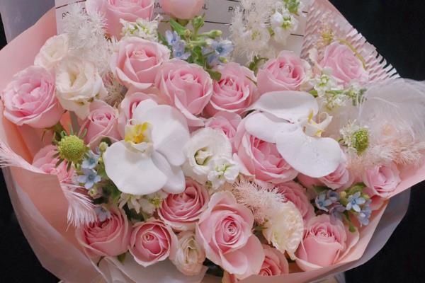 玫瑰的花语，代表美好的爱情等含义