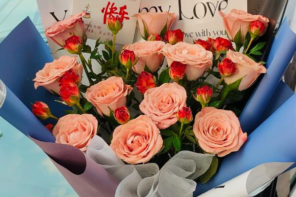 玫瑰的花语，代表美好的爱情等含义