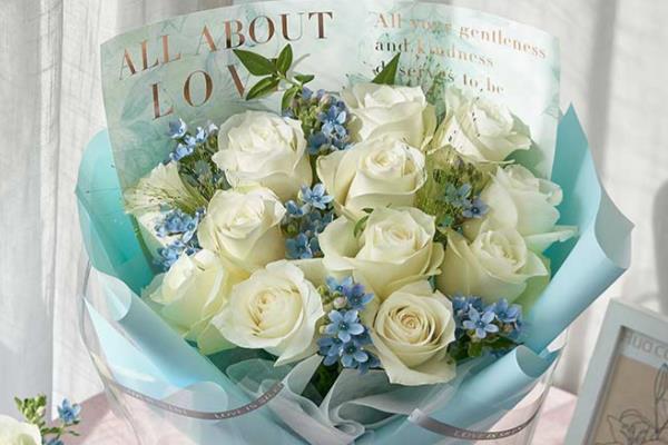 玫瑰的花语，代表美好的爱情等含义