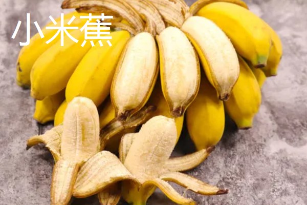 香蕉为什么是弯的,它会朝着光的方向生长