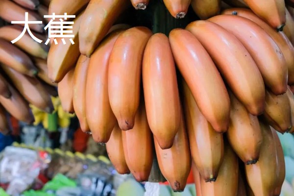 香蕉为什么是弯的,它会朝着光的方向生长