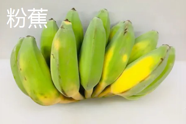 香蕉为什么是弯的,它会朝着光的方向生长