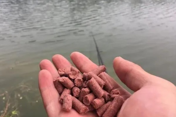 大面积水库要打窝吗，打窝聚鱼对垂钓还是有帮助的
