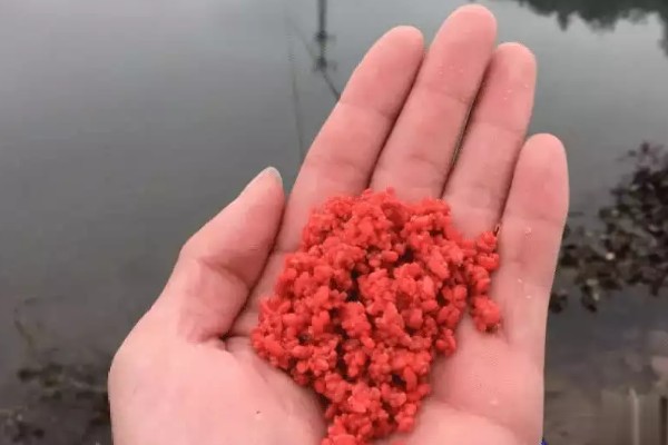 大面积水库要打窝吗，打窝聚鱼对垂钓还是有帮助的