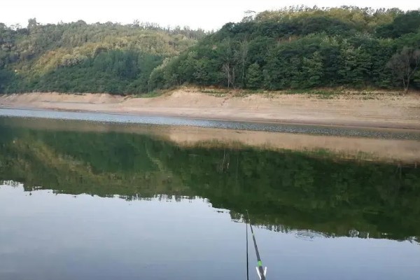 大面积水库要打窝吗，打窝聚鱼对垂钓还是有帮助的