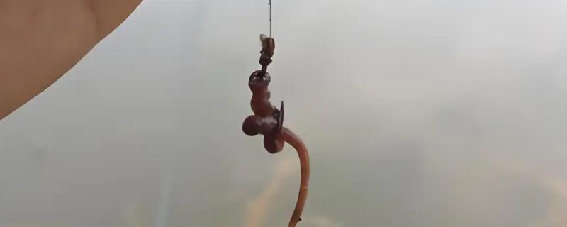 用蚯蚓钓鱼是不是钓浮，一般以钓底为主