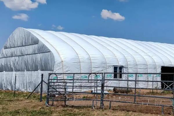 养牛大棚的搭建方法，用水泥和砖头建造外层围墙