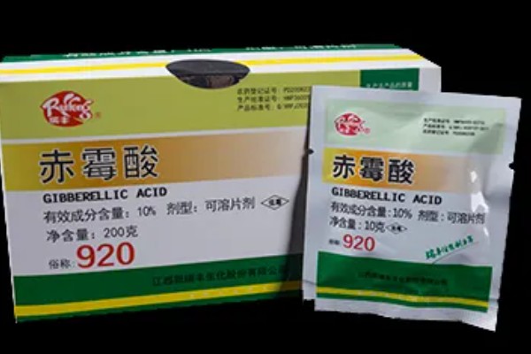 赤霉酸的作用，可以提高结实率
