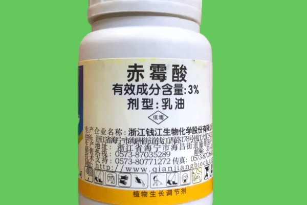 赤霉酸的作用，可以提高结实率