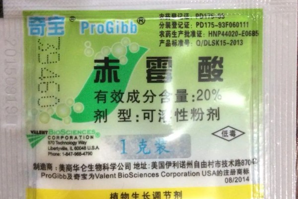 赤霉酸的作用，可以提高结实率