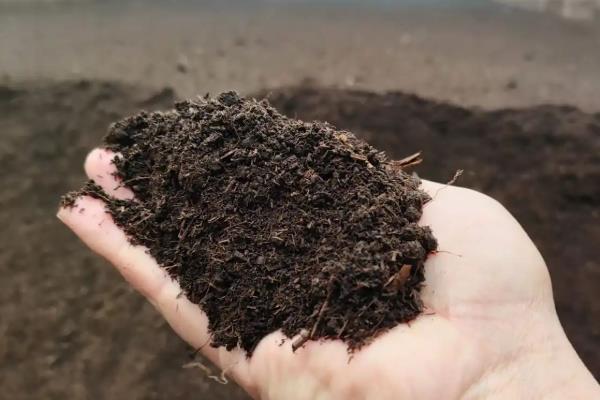 茉莉怎么施肥，花期每周喷一次磷酸二氢钾