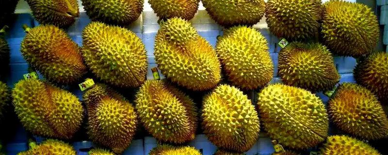 榴莲如何分辨好坏，可以闻味道、看裂缝等