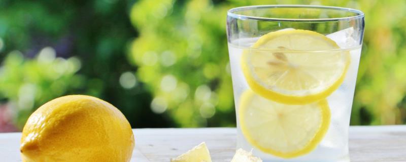 常见的蔬果汁品类，有柠檬汁、橙子汁等