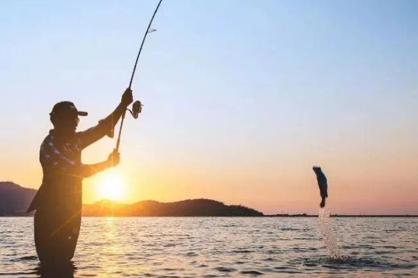 4H鱼竿与6H鱼竿的区别，前者的硬度为4级、后者的硬度为6级