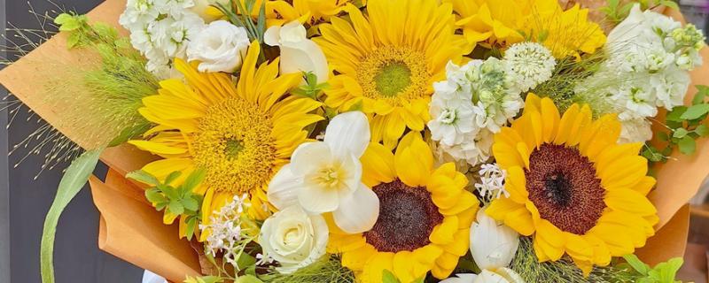 15朵向日葵的花语，寓意为你心动、幸福无边等