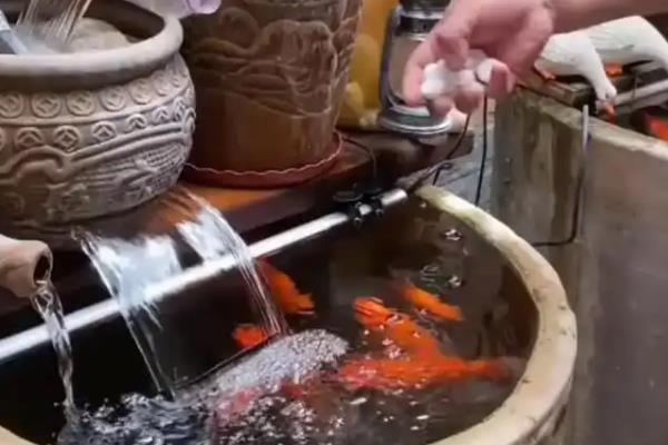 锦鲤缸什么时候放盐,锦鲤患病时才能使用