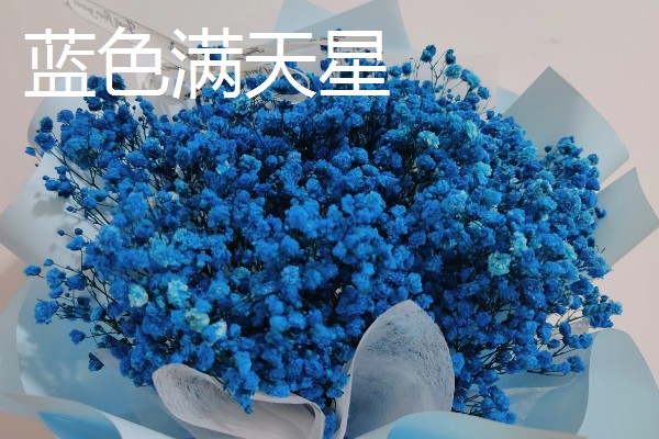 满天星的花语，红色满天星代表热情澎湃