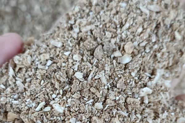 玫瑰苗的成活方法,春秋季节每周浇水1-2次