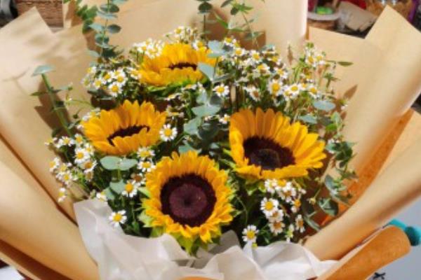 向日葵加小雏菊的花语是什么，寓意沉默的爱、追求爱情等