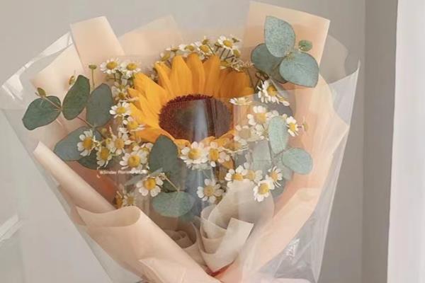 向日葵加小雏菊的花语是什么，寓意沉默的爱、追求爱情等